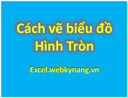 Vẽ biểu đồ trong excel 2007, 2010, 2013 biểu đồ hình tròn