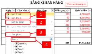 cach su dung filter trong excel 2007 2010 2013 2003 1